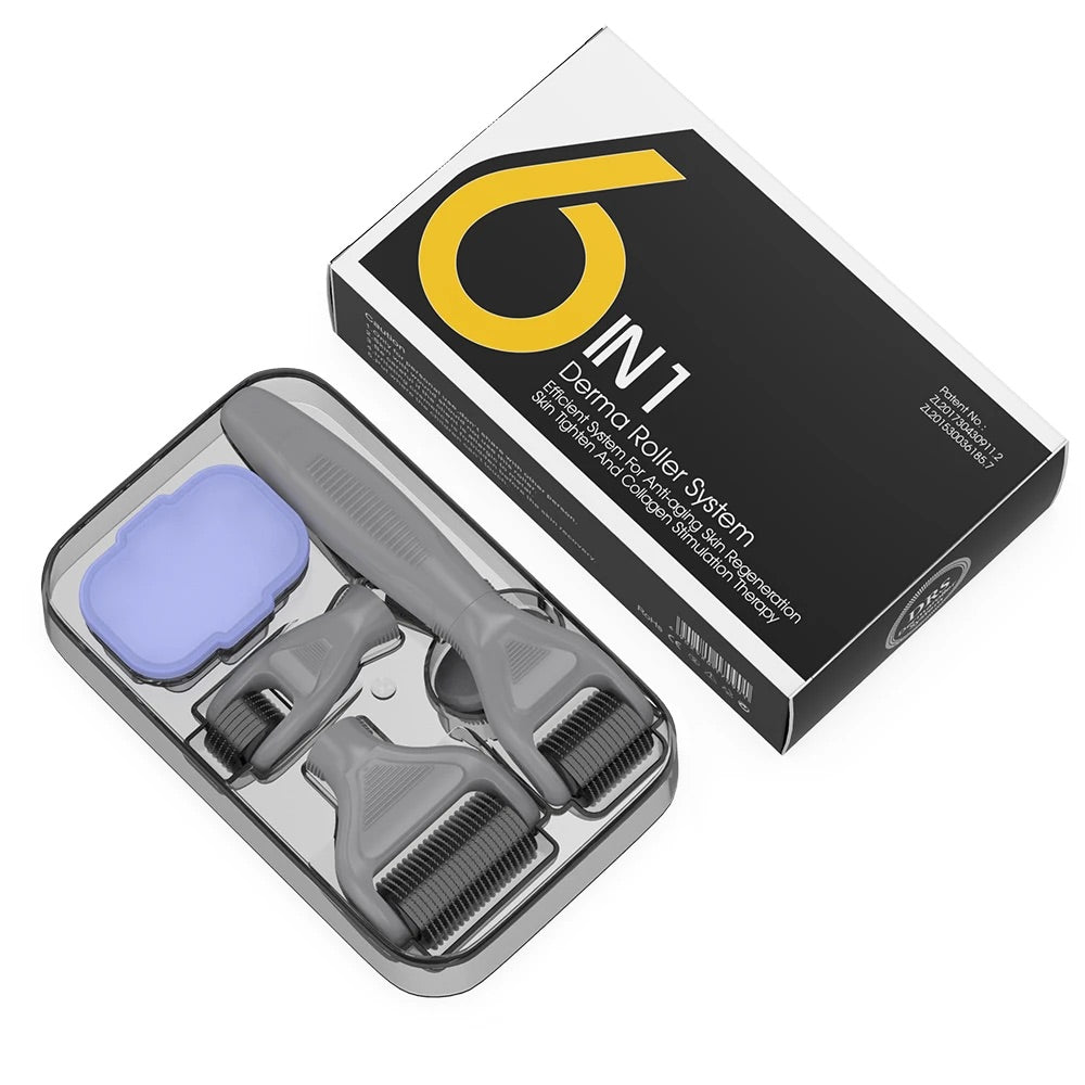 フェイスローラーセット　6 IN 1 Derma Roller System Dermaroller Kit 6 in 1 - 0.5 mm tot 1.5 mm – Minodeals
